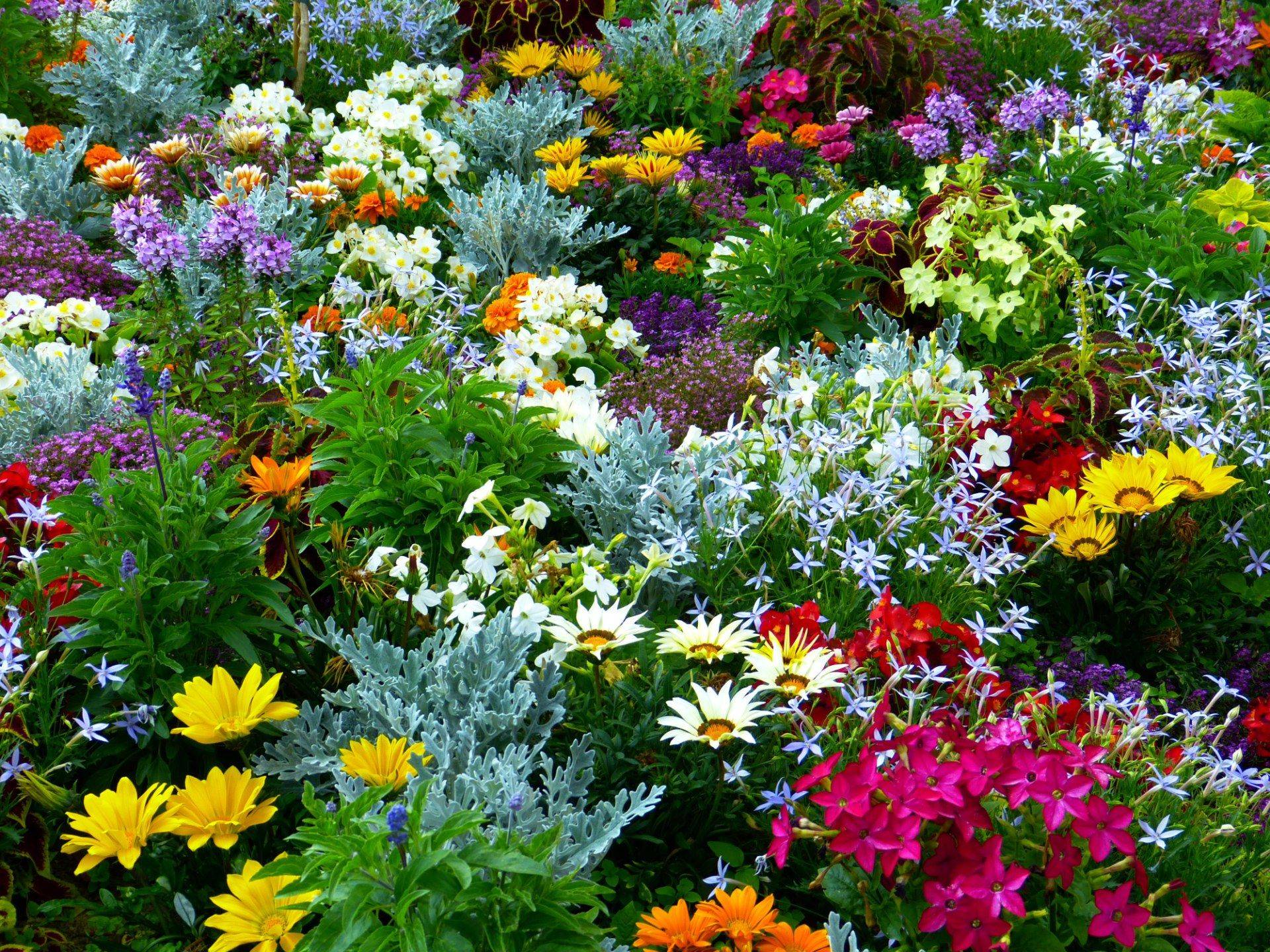 Quelle: hans-flower-garden