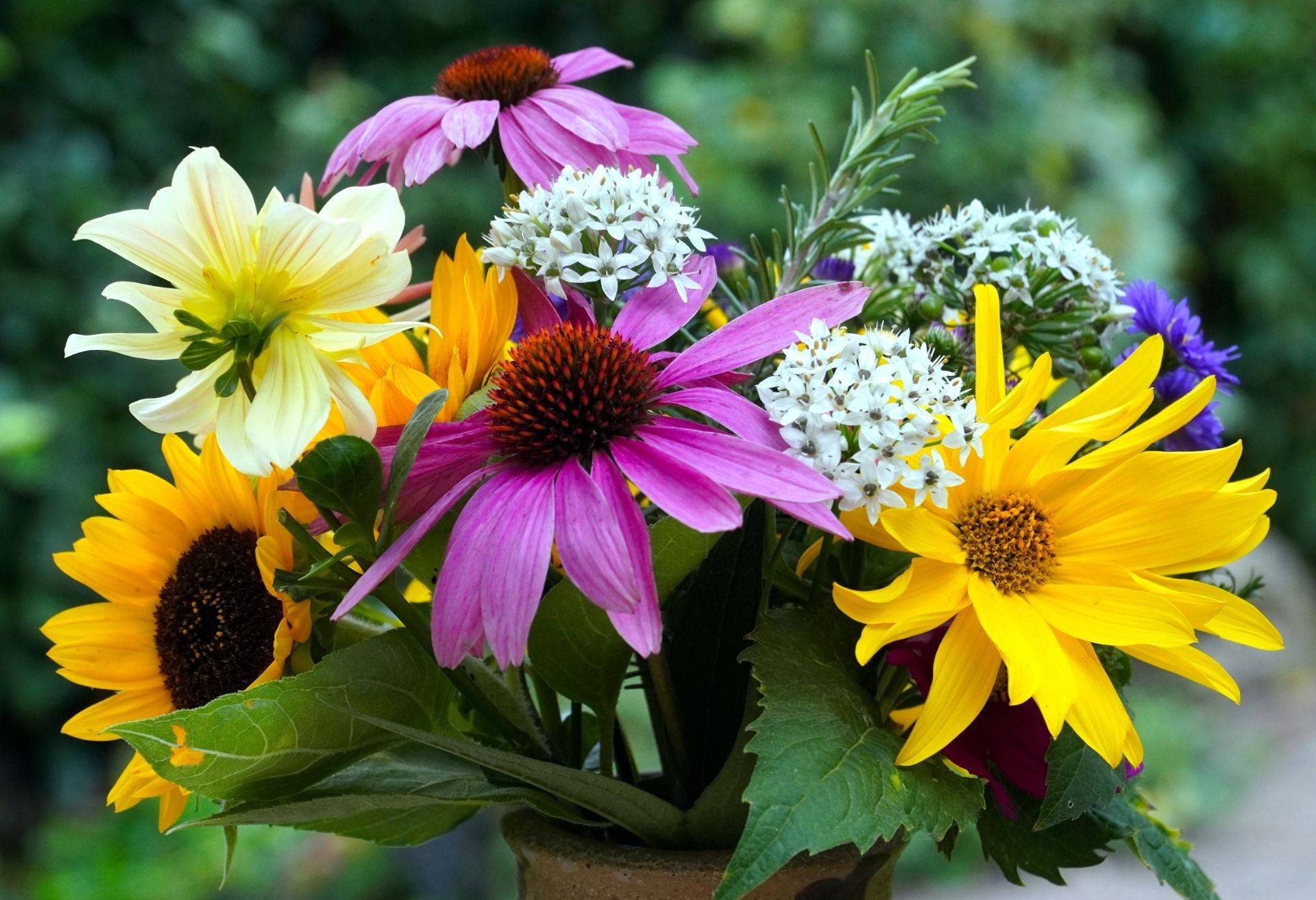 Quelle: matthiasboeckel-flower